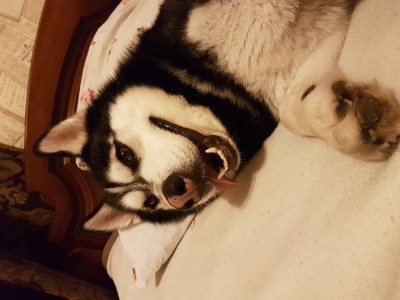 20170120_215405.jpg (7.34 МБ) 2157 просмотров 20170120_215405.jpg