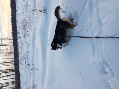 20170120_090944.jpg (8.36 МБ) 2254 просмотра 20170120_090944.jpg