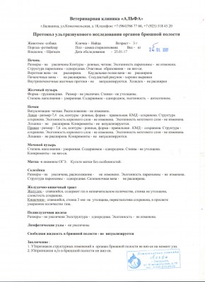 УЗИ.jpg
