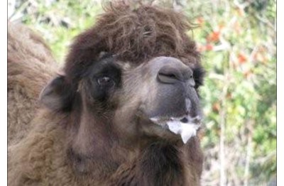 тьфу-тьфу-тьфу