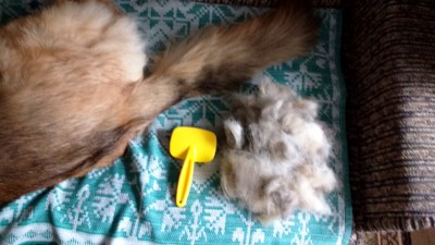 шерсть 004.jpg