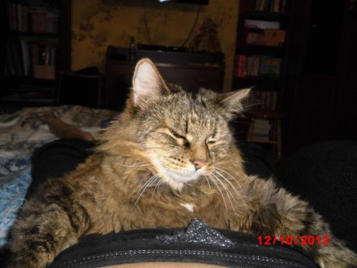 Гась лежит на доче - облапил-обнял )))