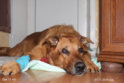 просто лежит.