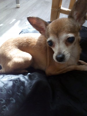 Не особо довольна