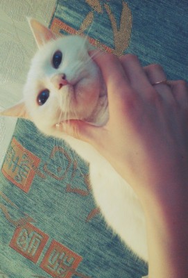 I2T9ovFebUs.jpg (242.62 КБ) 2768 просмотров I2T9ovFebUs.jpg