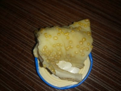 DSC_0819.JPG (4 МБ) 2726 просмотров DSC_0819.JPG