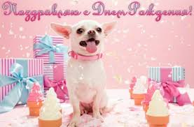 Без названия.jpg